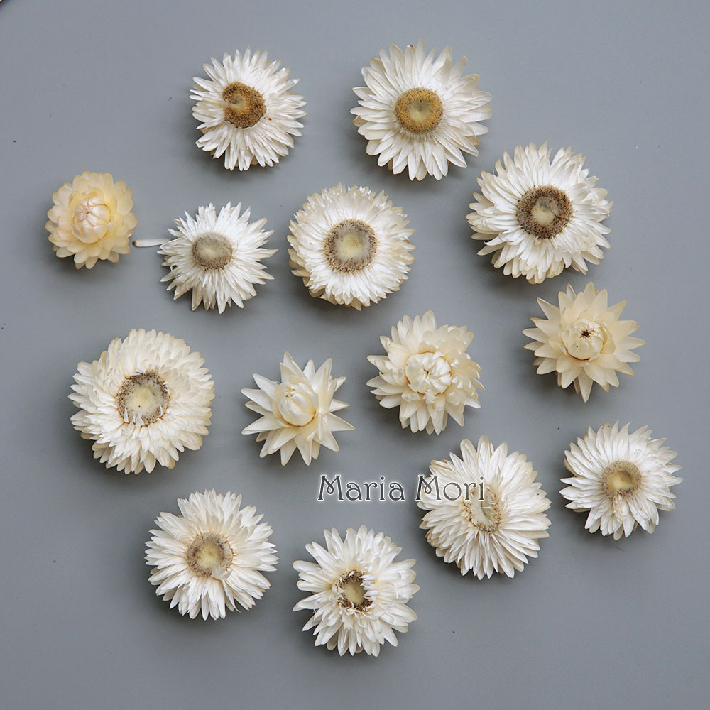 Baby Products - Natural Dried Colorful Chrysanthemum Wreath Handmade