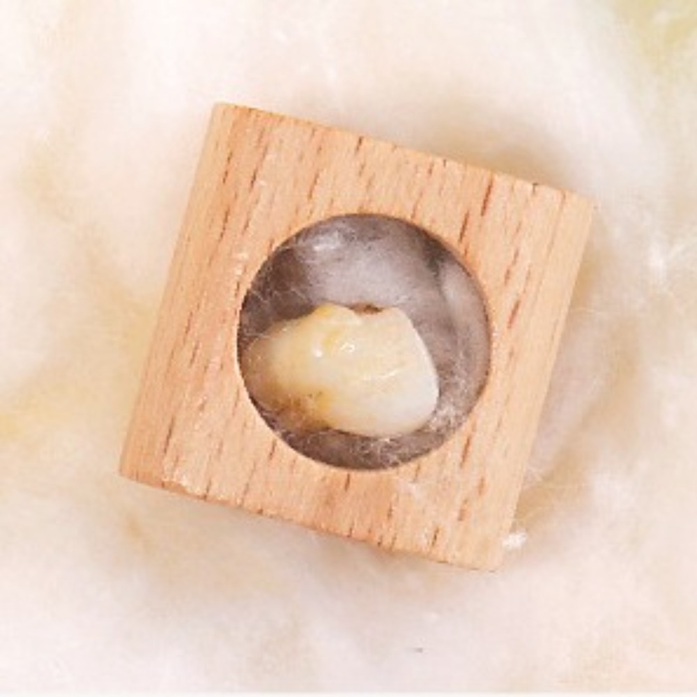 Wooden Baby Tooth Box Cartoon  - Baby Products Storage Box ulasan dan harga